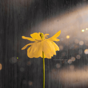 粉嫩AV一区二区三区四区在线不卡
